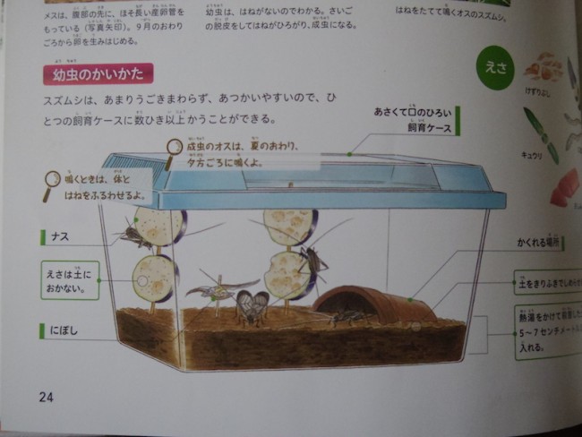 IMGP7833