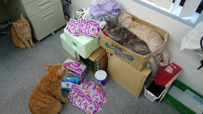 続々と届いた支援物資