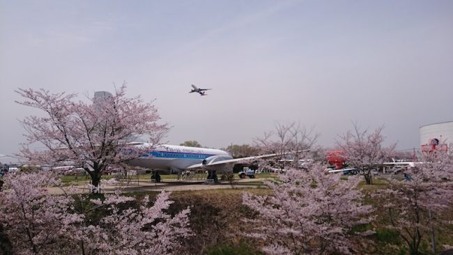 DSC_0101