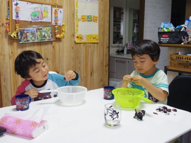 imgp1017_12