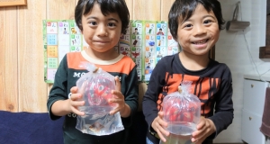 もらった金魚
