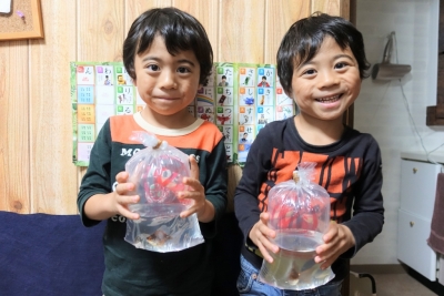 もらった金魚
